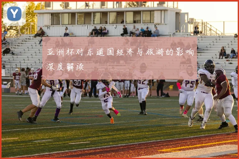 亚洲杯对东道国经济与旅游的影响深度解读